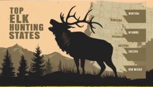 A Guide to the Best Elk Hunting States