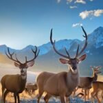 Hunting Mule deers and elks in the east Sierra Nevada region California